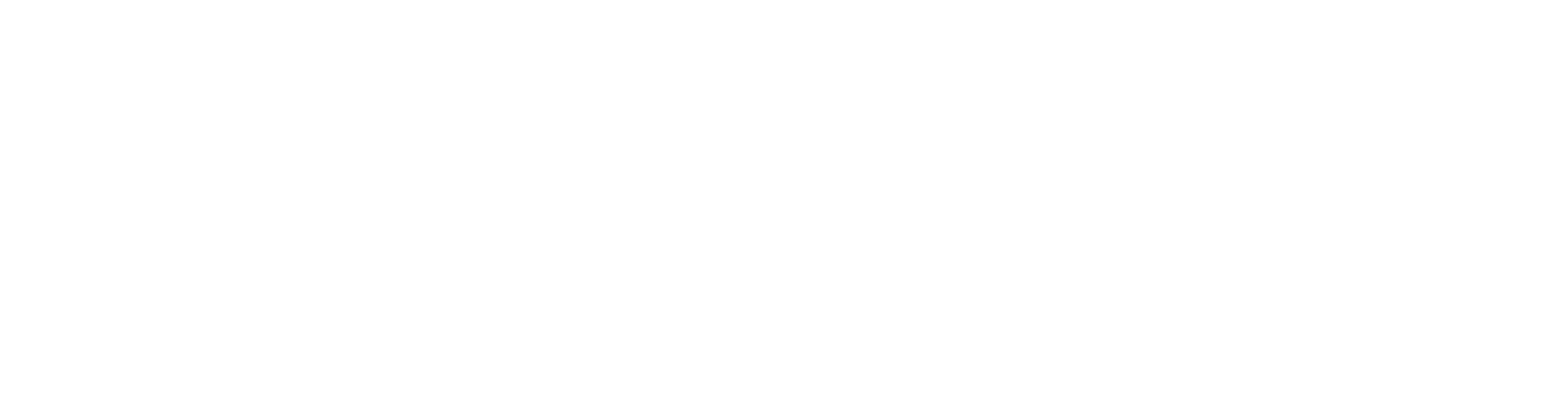 Secure AIT Logo